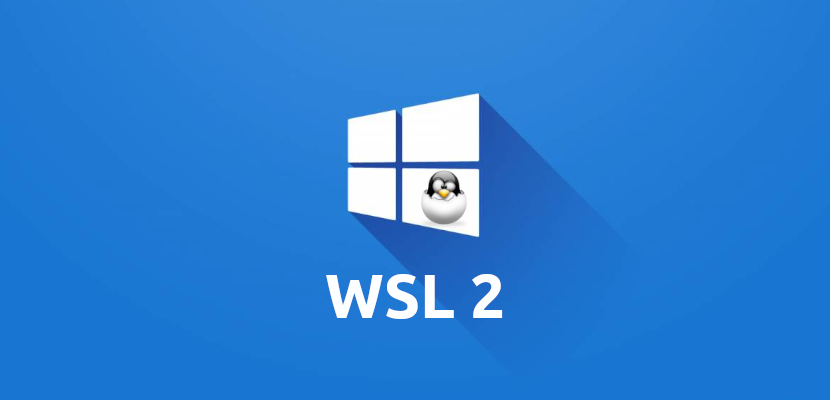 WSL2